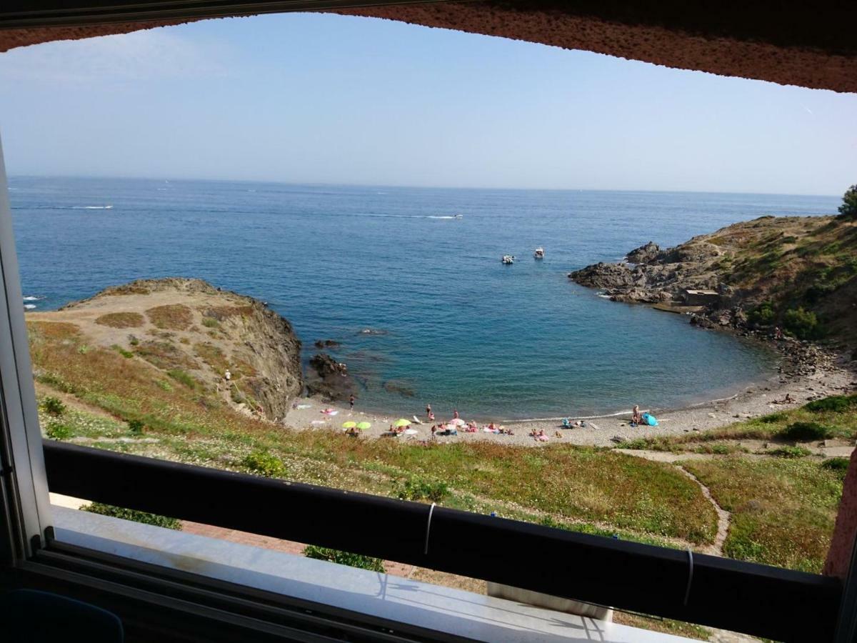 ポール・ヴァンドルPortvendres Sea Viewアパートメント エクステリア 写真